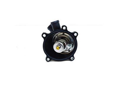 Audi 079-121-115-BG