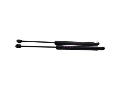 Audi Liftgate Lift Support - 4L0-827-552-F