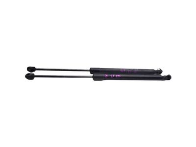 Audi Liftgate Lift Support - 4L0-827-552-F