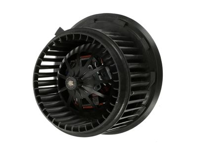 Audi 7E0-819-021-A