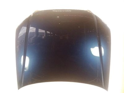 Audi S4 Hood - 8E0-823-029-D