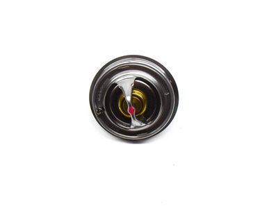 1997 Audi A8 Quattro Thermostat - 077-121-113-D