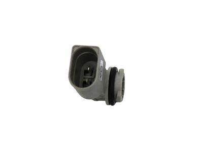 Audi Light Socket - 4L0-953-163