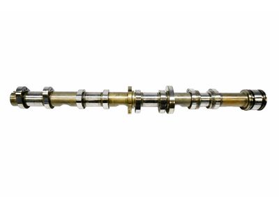 Audi 079-109-101-HK