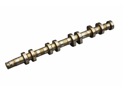 Audi 079-109-103-AC