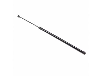 Audi RS3 Lift Support - 8Y0-823-359-C