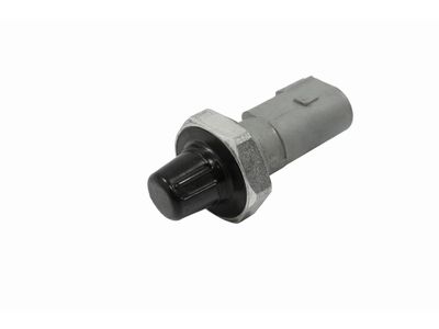 Audi 038-919-081-P
