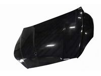 Audi 8W6-823-029 Hood