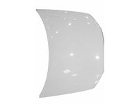 Audi 8H0-823-029-D Hood Audi 8H0-823-029-D Hood