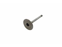 Audi 048-109-601-A Intake Valve Audi 048-109-601-A Intake Valve