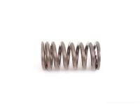 Audi 06E-109-623-H Valve Springs Audi 06E-109-623-H Valve Springs