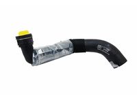 Audi 8W0-122-101-BD Upper Hose