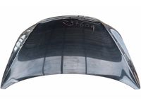 Audi 4L0-823-029-A Hood