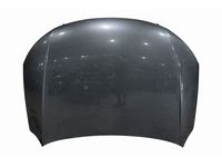Audi 4G8-823-029-B Hood Audi 4G8-823-029-B Hood
