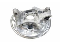 Audi 8W0-505-431-Q Knuckle Audi 8W0-505-431-Q Knuckle
