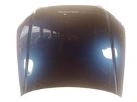 Audi Hood - 8E0-823-029-D Hood