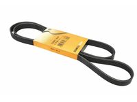 Audi A4 Drive Belt - 06B-903-137-D Serpentine Belt