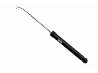 Audi 8W7-616-025-D Shock Absorber Audi 8W7-616-025-D Shock Absorber