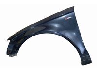Audi 8P0-821-105-G Fender