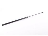 Audi 8P0-823-359-D Strut Cylinder