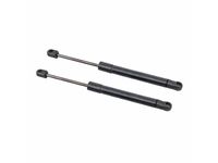 Audi 4B5-827-552-G Lift Cylinder Audi 4B5-827-552-G Lift Cylinder