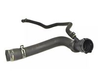 Audi 8E0-121-107-G Overflow Hose