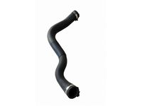 Audi 893-121-055-B Lower Hose