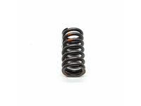Audi 058-109-633 Valve Springs