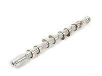 Audi A3 Camshaft - 06F-109-102-E Camshaft