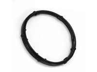 Audi 06E-121-119-G Thermostat Unit O-Ring