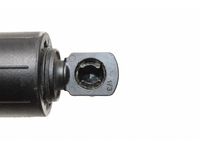 Audi 89E-827-851-B Lift Cylinder