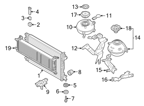Audi N-902-631-06 Lower Bracket Nut