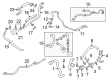 Diagram for 2017 Audi A4 Radiator Hose - 8W0-122-073-F