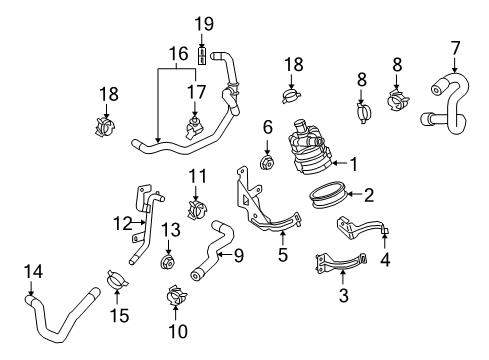 2012 Audi S5 Water Pump Diagram