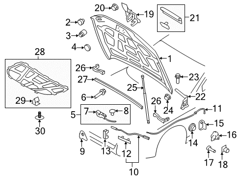 2016 Audi allroad Hood & Components Diagram
