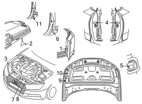 2022 Audi RS5 Sportback Information Labels