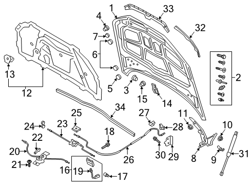 2025 Audi A4 Quattro Hood & Components Diagram