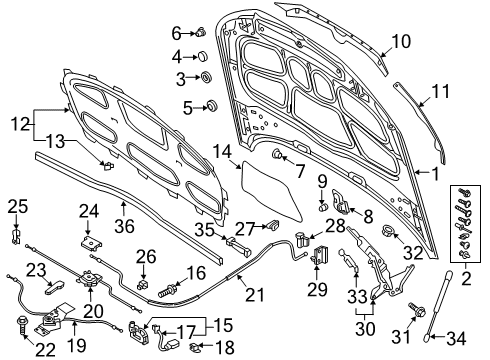 2022 Audi S5 Sportback Hood & Components Diagram
