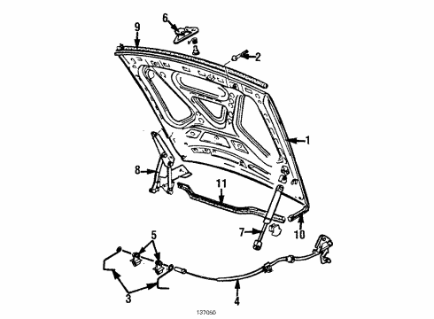1985 Audi 5000 Hood & Components Diagram