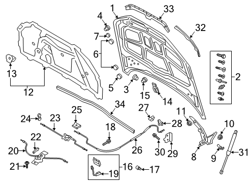 2024 Audi A4 allroad Hood & Components