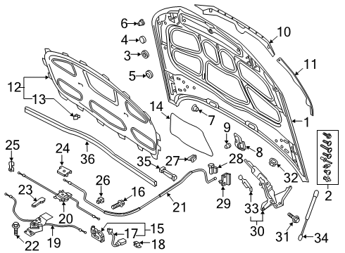 2024 Audi A5 Quattro Hood & Components Diagram