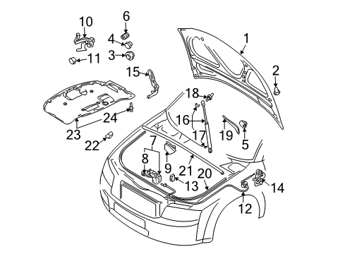 2005 Audi S4 Hood & Components Diagram