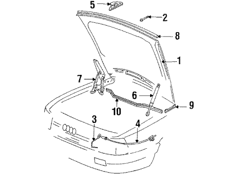 1987 Audi 5000 Quattro Hood & Components Diagram