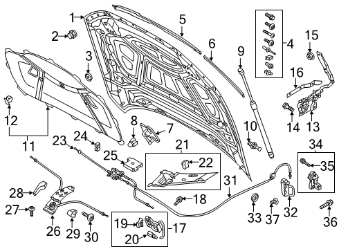 2020 Audi A6 Quattro Hood & Components
