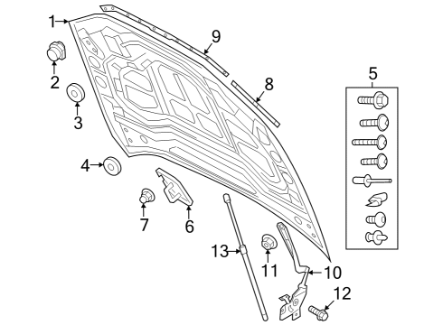 2024 Audi SQ8 e-tron Sportback Hood & Components
