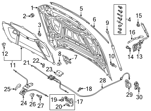 2022 Audi S7 Sportback Hood & Components Diagram