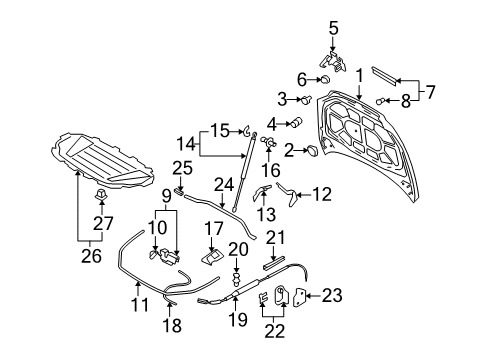 2007 Audi Q7 Hood & Components Diagram