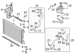Diagram for Audi Water Hose - 8W0-121-081-BL