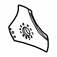 Audi A4 Flywheel - 078-105-323-G Drive Plate