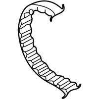 Audi 4000 Timing Belt - 058-109-119-D Timing Belt